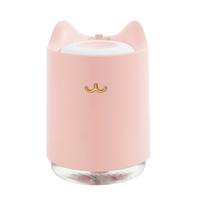 Cat Humidifier