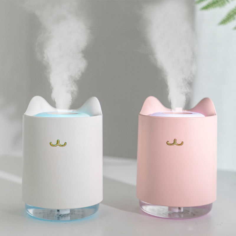 Cat Humidifier