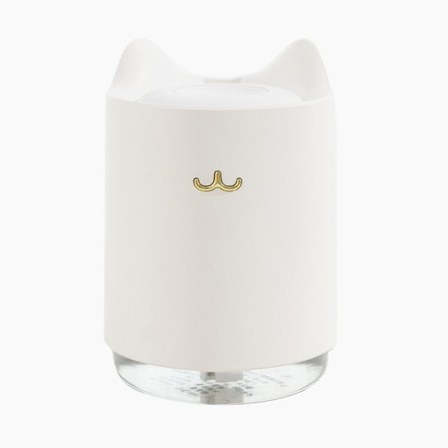 Cat Humidifier