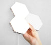 Modular Led Lights